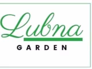 E-commerce web developer