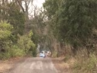 A Family Trip to the Christmas Tree Farm - Bucks Happening