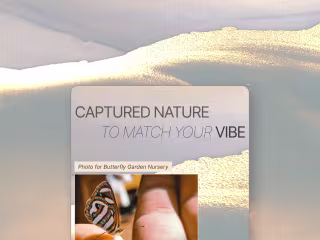 Jonny Lew - Branded Website Design (Photographer Portfolio)