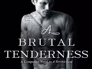 Published Novel