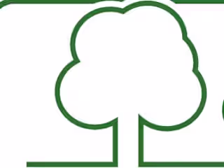Revamping Jon Latter Forestry’s Website | Wix Studio