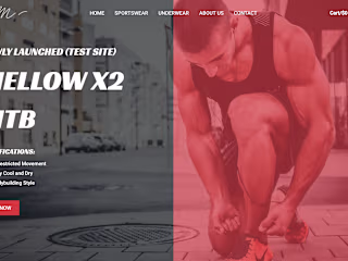 Sportswear web store(wordpress & woocommerce)