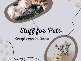 EVERGREEN PET NUTRITION