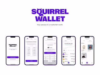 Squirrel Wallet 
