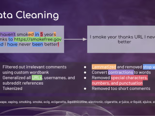 Exploratory data analysis on vaping comments