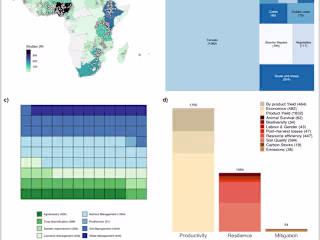 Summarize Big data into plots 