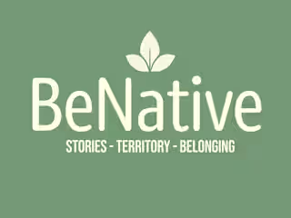 BeNative: Presentation Video