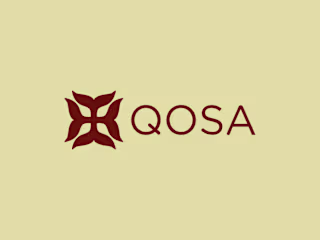 Brand Strategy & Identity for QOSA
