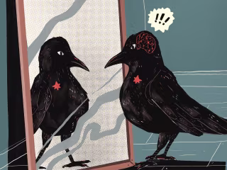 Illustration (Editorial, social media, brands)