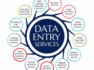 Data Scientist 