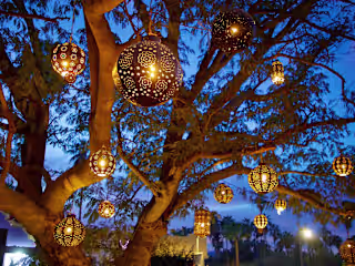 Los Cabos Hidden Gems (Part 3): Holiday Season Edition - South …