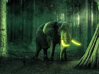 Magic Elephant