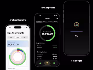 Tally – Clarity in Every Transaction