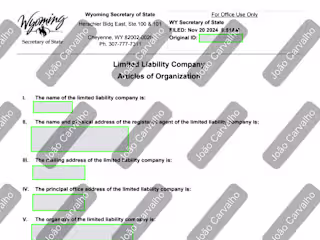 Formation of LLC with Custom Operating Agreement and BOI