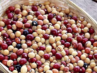 FOODVENTURE: ZIMBABWEAN DISH MUTAKURA