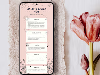 Infographics — ROSEWORD STUDIO