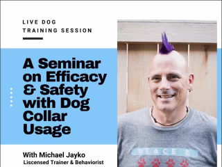 Live Dog Training Seminars