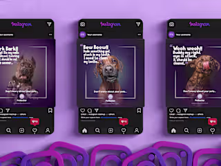 PetBacker Social Media
