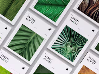 Eco-friendly Corporate web design, Logo, Branding :: Behance