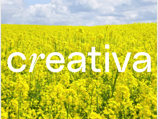 🍋 Creativa Design Co