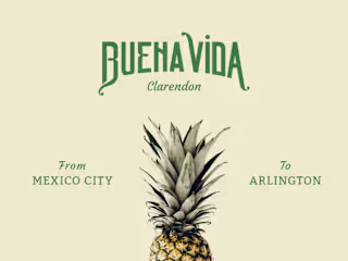 Buena Vida Website Design