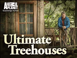 Ultimate Treehouses