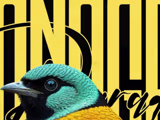 RADRESIGN • Design & Typography on Instagram: “Paradise Tanager…