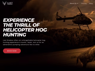 Website for Last Shadow