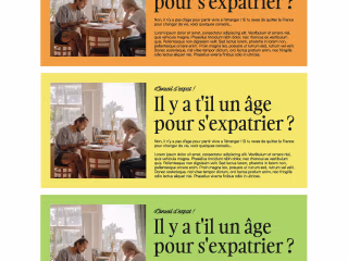 Visual identity | Libert'Expat