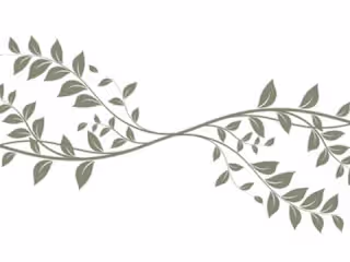 Styling service