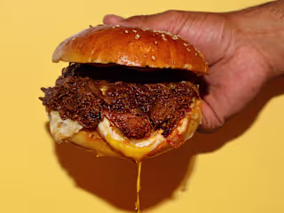 El Toro Bruto