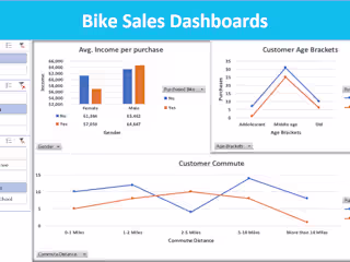 Customer Data Analysis for Marketing and sales Insights