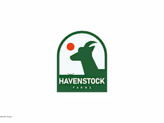 Havenstock Brand Identity Design