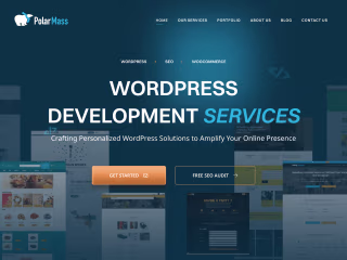 PolarMass ⎮ Digital Marketing Executive · Content Writer