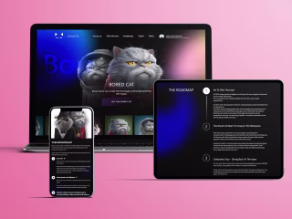 Bored cat - UI/UX and Web Development for NFT art website