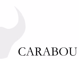 Carabou 