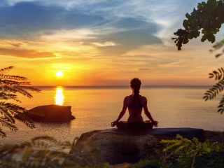 What is the Relationship between Stress and your Endocannabinoid