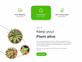 Home decor E-commerce website design I Natural products