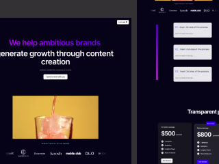 Marketing Agency design (landing page)