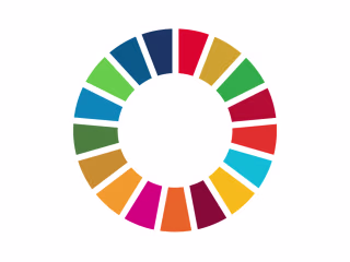 Sustainable Development Goals Academic Assessment Tools