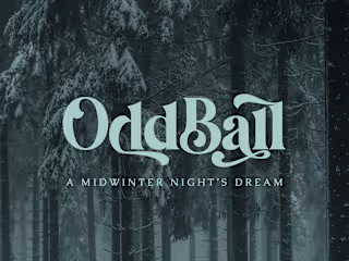 OddBall 2023 // Nonprofit Event Branding :: Behance