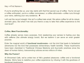 Email Newsletters