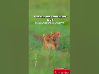 My pride is my elder brother. and me too 