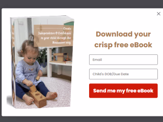 Email Marketing for Ecommerce Brands