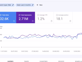 A Whole Whitelable SEO Services Project
