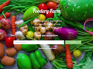 Stealth Startup, Early-Stage Meal Kit Marketplace