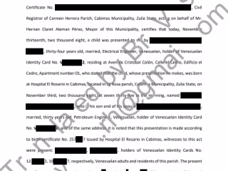 Document Translation