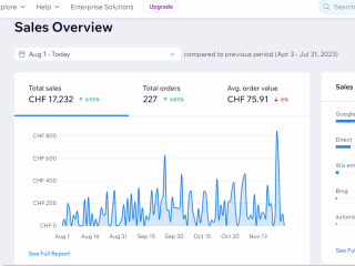 Ecommerce Store Management and Marketing