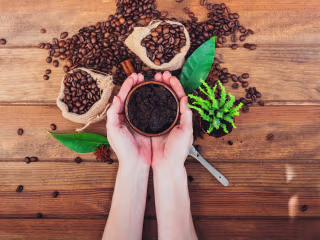 DIY Simple and Easy Coffee Scrub Recipes in 2023