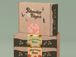 Pollinator Project